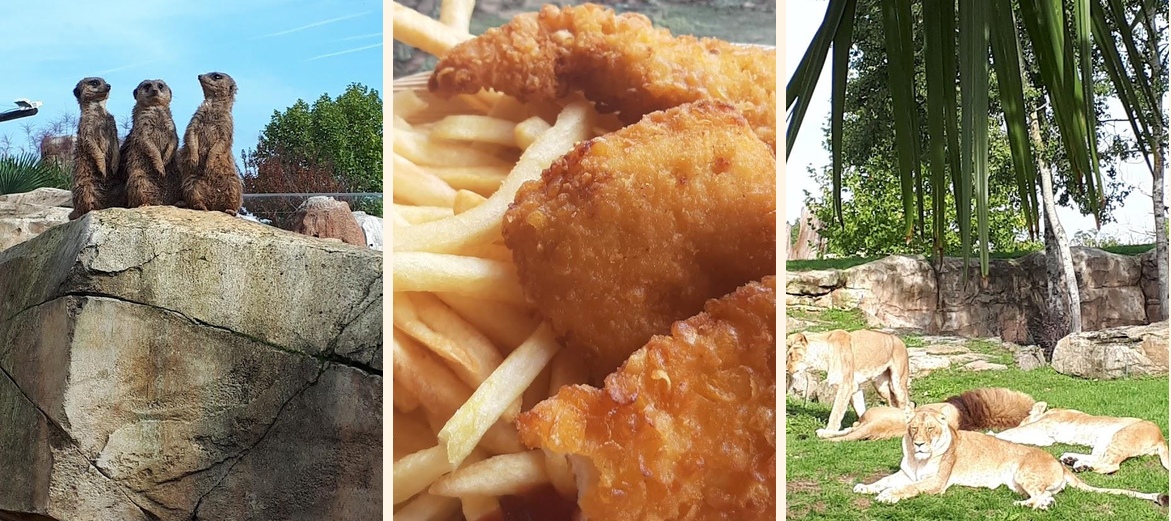 Le Serengeti - Gallery Image 1